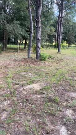 1.25 Acres of Residential Land for Sale in Morriston, Florida