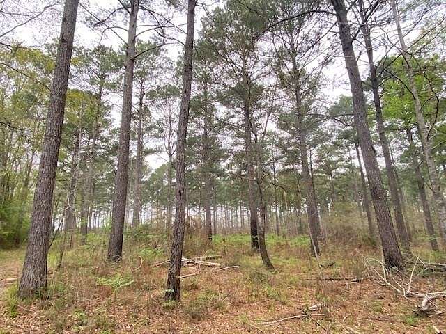 190.51 Acres of Recreational Land for Sale in Liberty, Mississippi