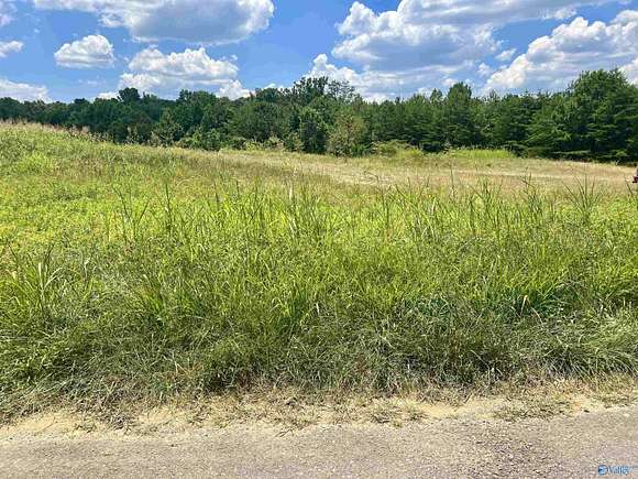 2.7 Acres of Residential Land for Sale in Mentone, Alabama