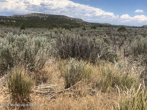 2.43 Acres of Residential Land for Sale in Navajo Dam, New Mexico