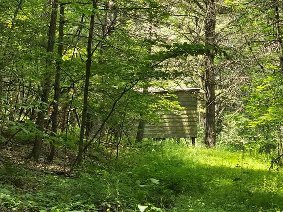 20 Acres of Recreational Land for Sale in Sayre, Pennsylvania