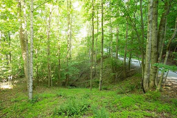 1.26 Acres of Residential Land for Sale in Blairsville, Georgia
