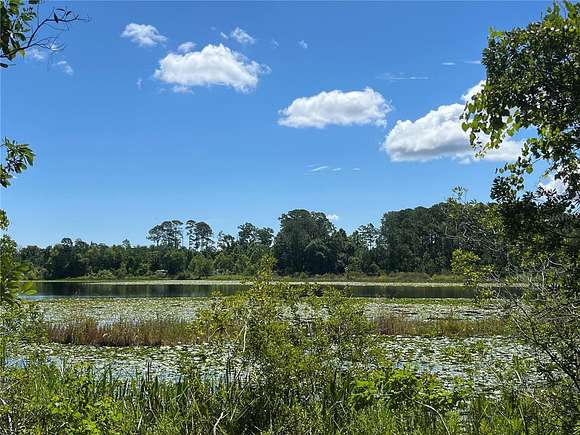 0.62 Acres of Residential Land for Sale in Paisley, Florida