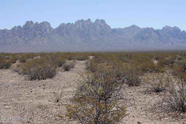 43.3 Acres of Land for Sale in Las Cruces, New Mexico