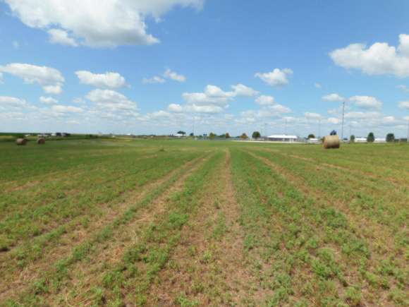 1 Acre of Residential Land for Sale in Ogden, Iowa