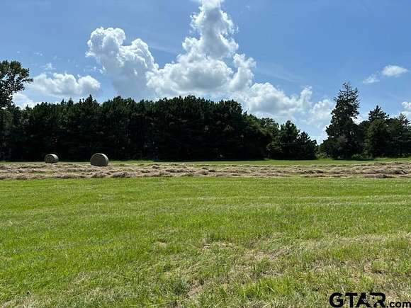 1 Acre of Residential Land for Sale in Pittsburg, Texas