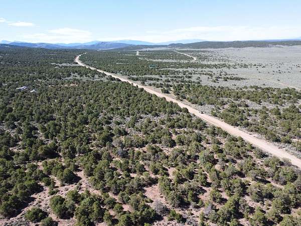 5 Acres of Residential Land for Sale in Fort Garland, Colorado