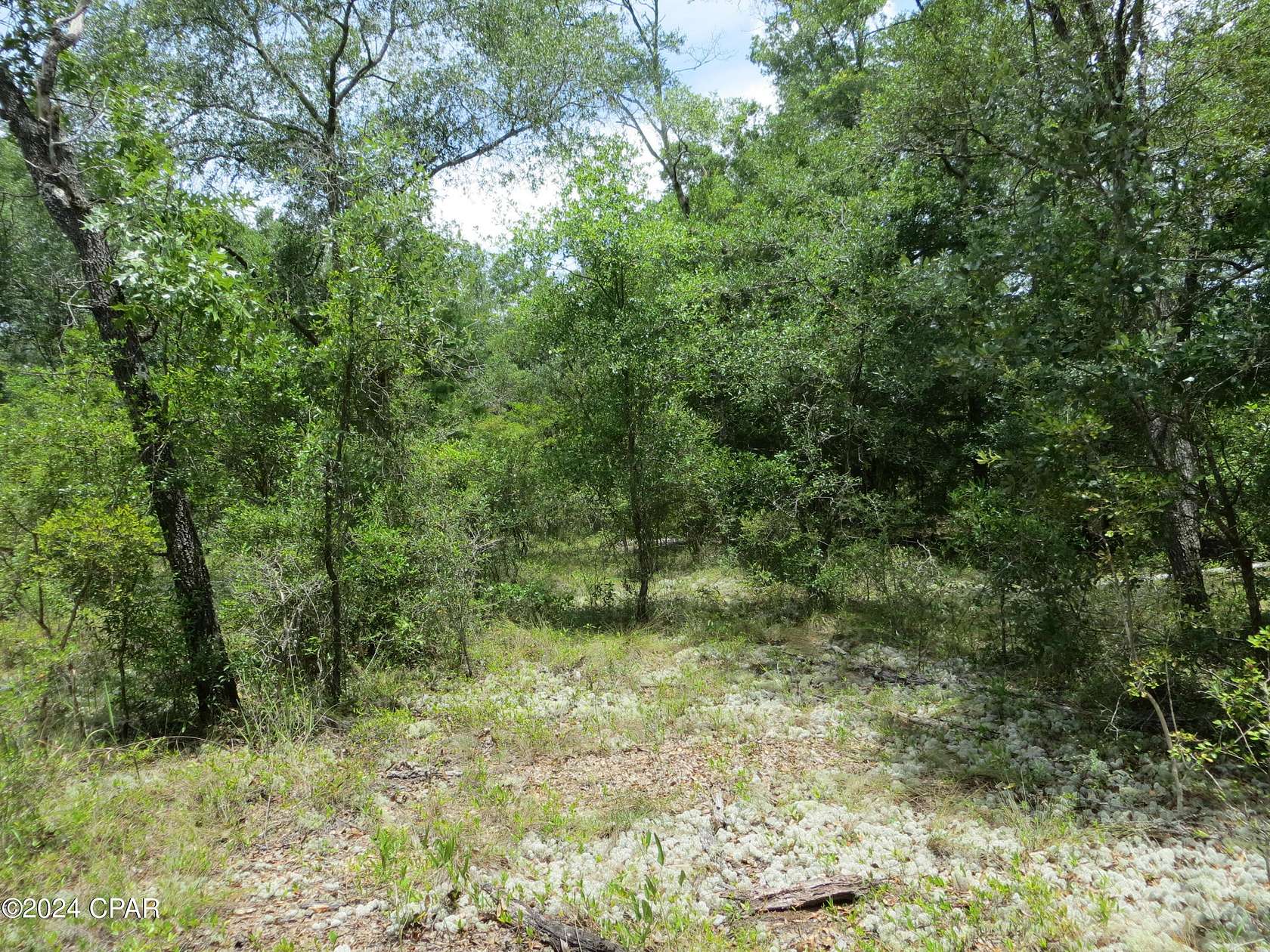 0.5 Acres of Residential Land for Sale in Chipley, Florida