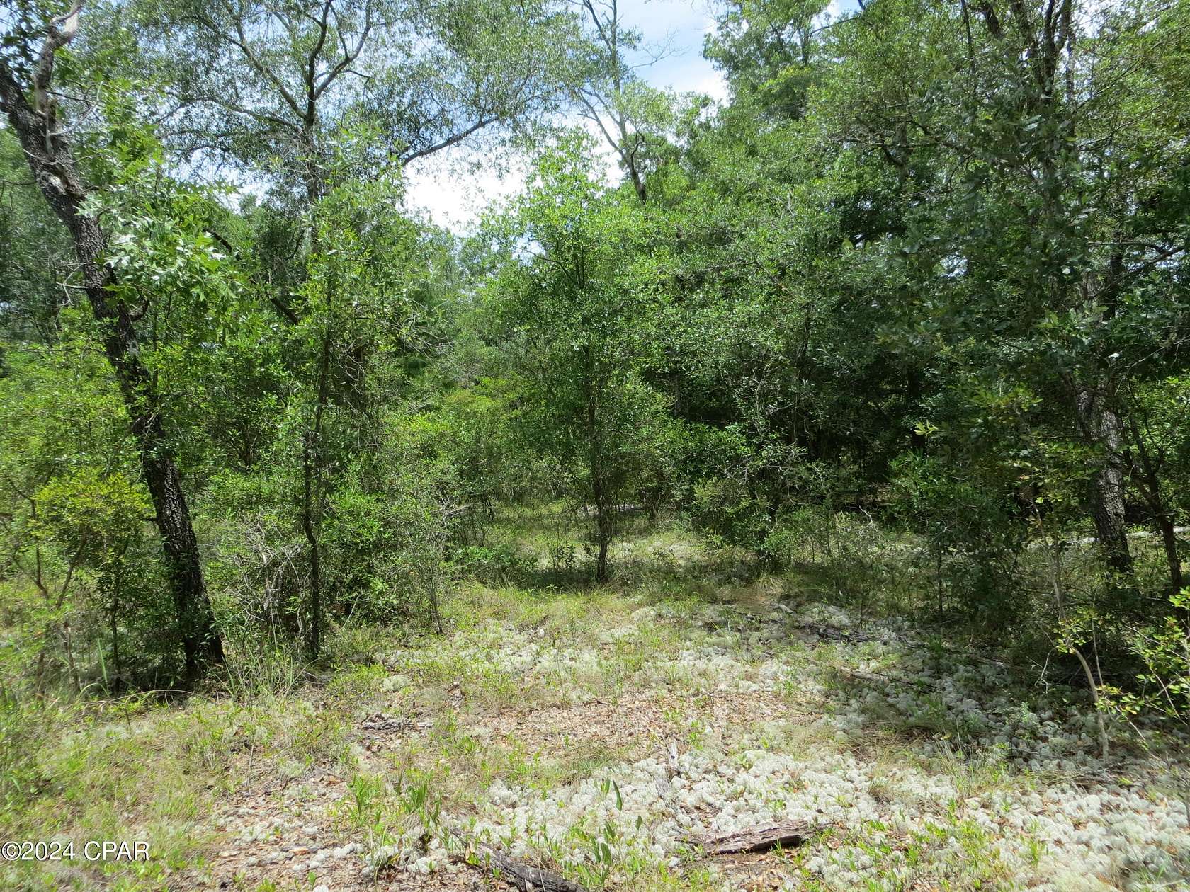 0.5 Acres of Residential Land for Sale in Chipley, Florida