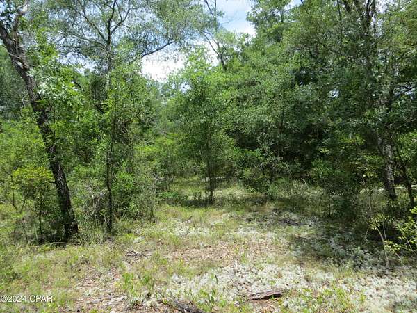 0.5 Acres of Residential Land for Sale in Chipley, Florida
