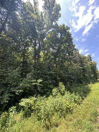 10.3 Acres of Recreational Land for Sale in Brownsville, Kentucky