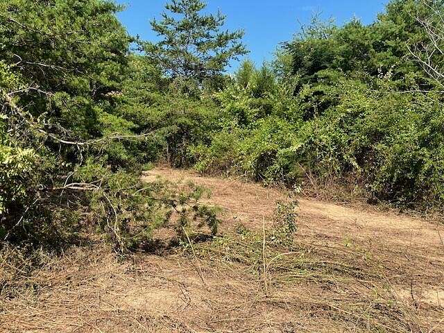 35.38 Acres of Land for Sale in Morristown, Tennessee