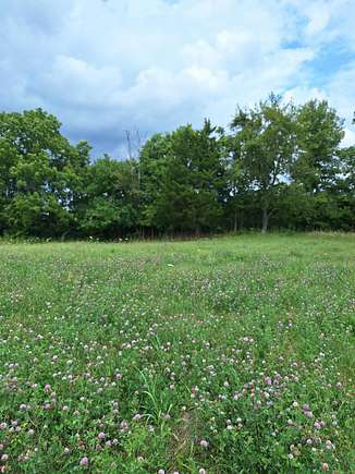 13.5 Acres of Land for Sale in Cynthiana, Kentucky
