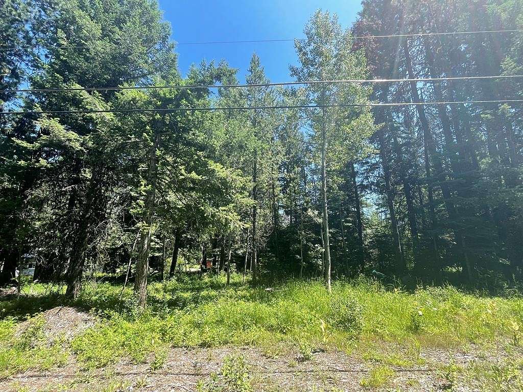 0.158 Acres of Land for Sale in McCall, Idaho
