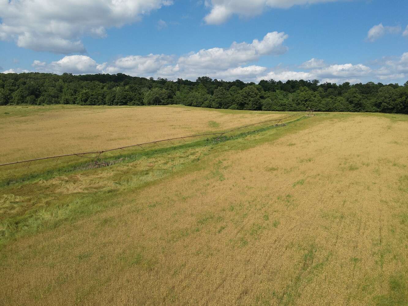198.04 Acres of Recreational Land & Farm for Sale in LaGrange, Arkansas