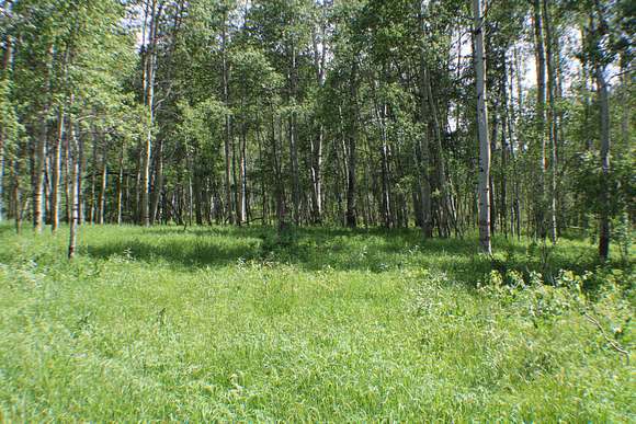 40 Acres of Recreational Land for Sale in Wayan, Idaho