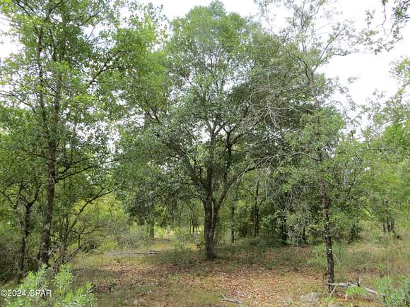 1.75 Acres of Residential Land for Sale in Chipley, Florida