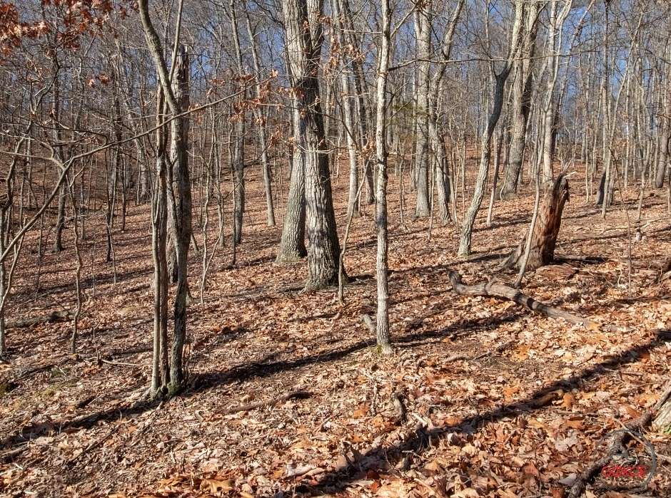 1 Acre of Residential Land for Sale in Berkeley Springs, West Virginia