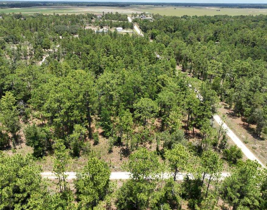 0.45 Acres of Residential Land for Sale in Williston, Florida