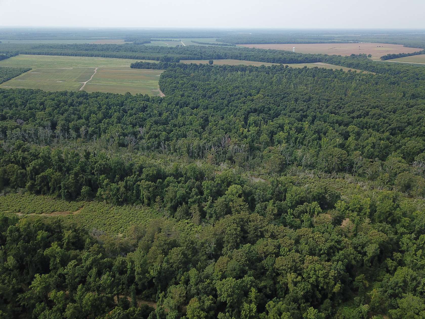 277 Acres of Recreational Land & Farm for Sale in Waterproof, Louisiana