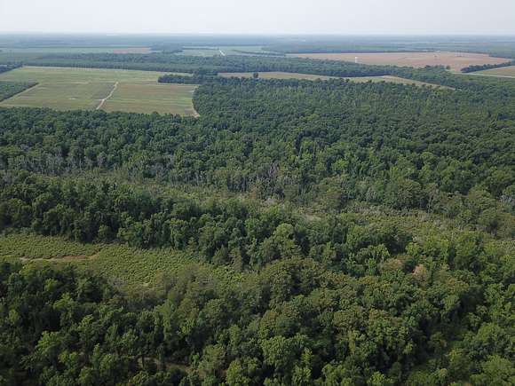 277 Acres of Recreational Land & Farm for Sale in Waterproof, Louisiana