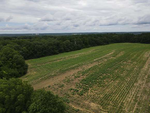 14 Acres of Land for Sale in Newton, Alabama