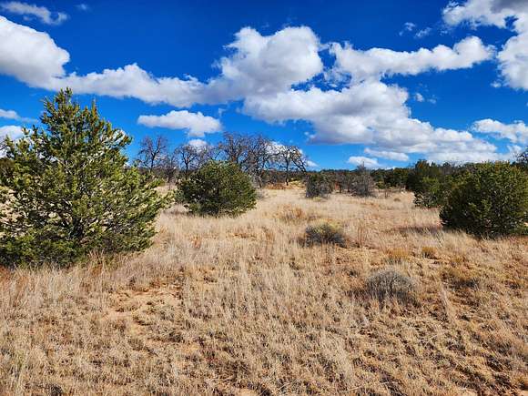 2.4 Acres of Residential Land for Sale in Pinehill, New Mexico