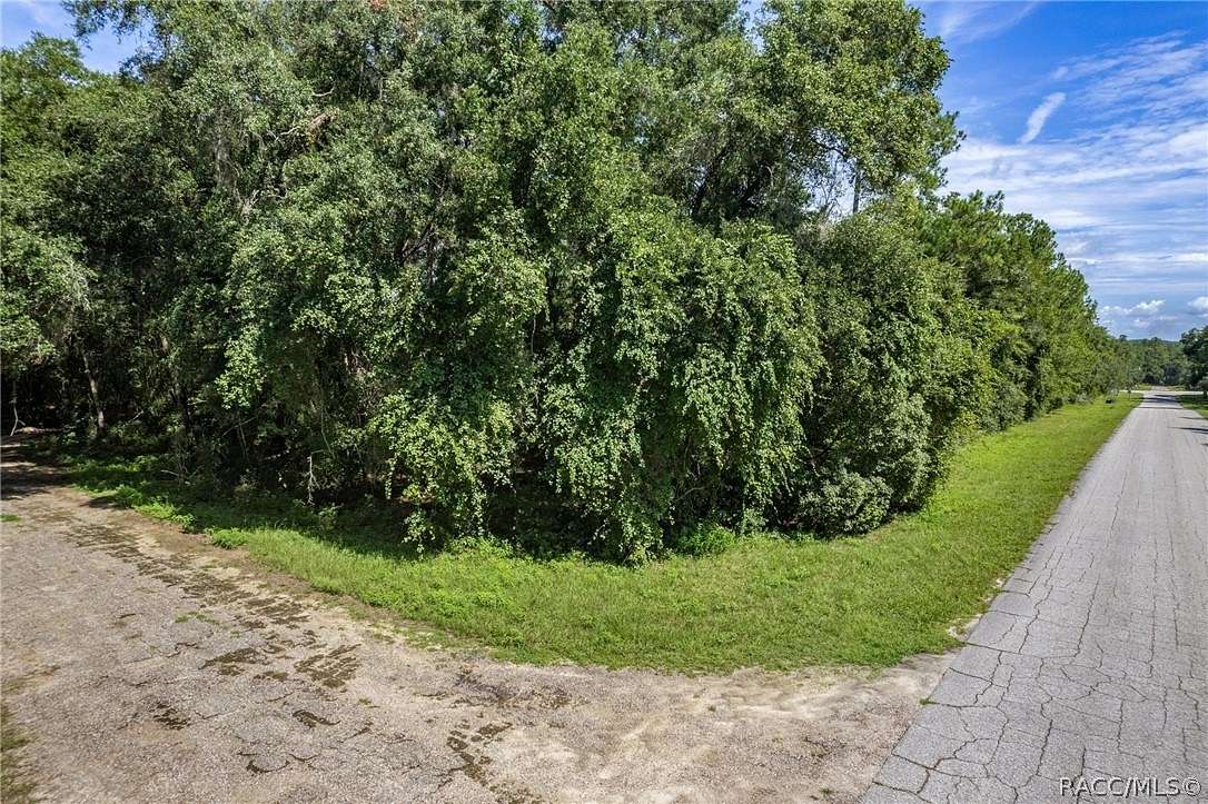 0.4 Acres of Residential Land for Sale in Dunnellon, Florida