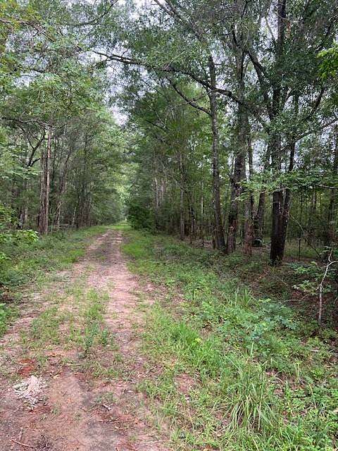 179 Acres of Recreational Land for Sale in Hemphill, Texas