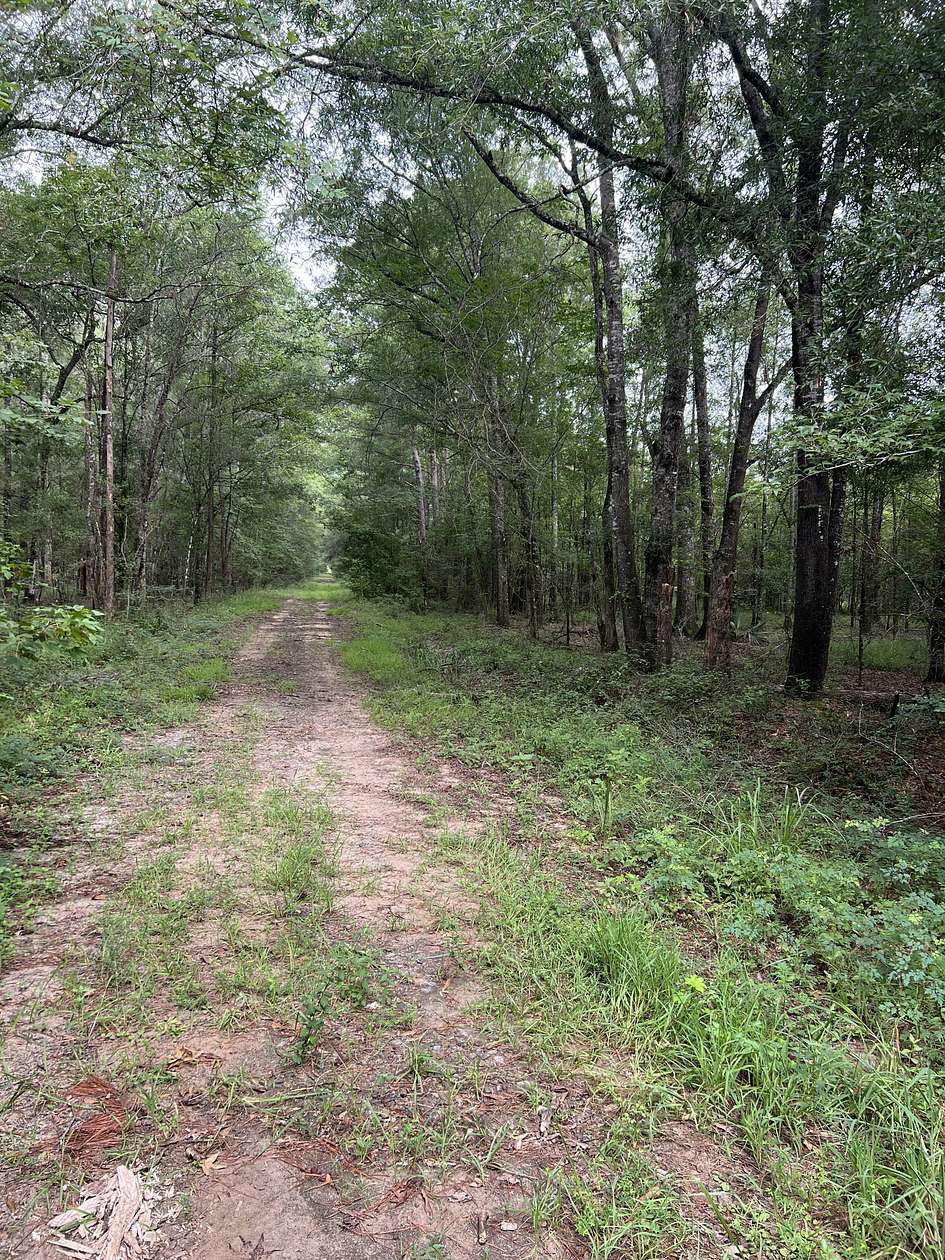 179 Acres of Recreational Land for Sale in Hemphill, Texas