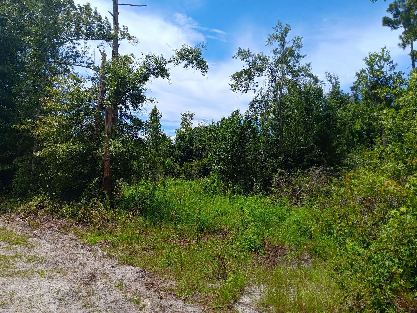 0.45 Acres of Land for Sale in Fountain, Florida