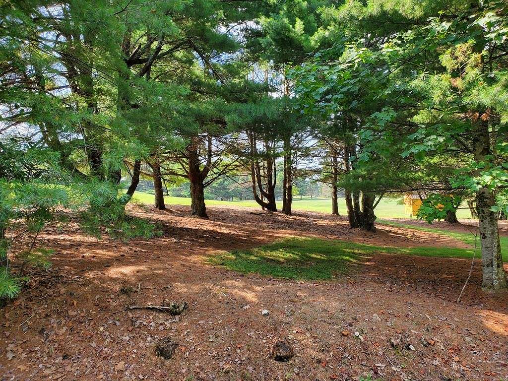 1 Acre of Residential Land for Sale in Fancy Gap, Virginia
