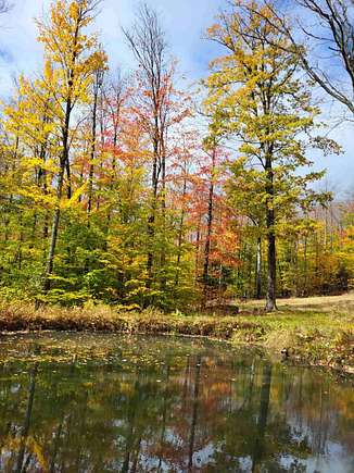 5.9 Acres of Land with Home for Sale in Bradford, Pennsylvania