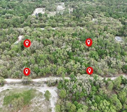 2.5 Acres of Residential Land for Sale in Bronson, Florida