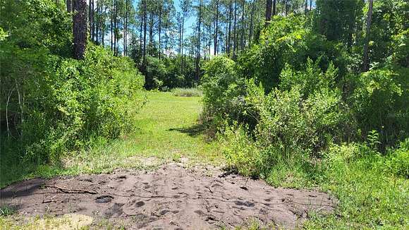 1.15 Acres of Residential Land for Sale in Bunnell, Florida