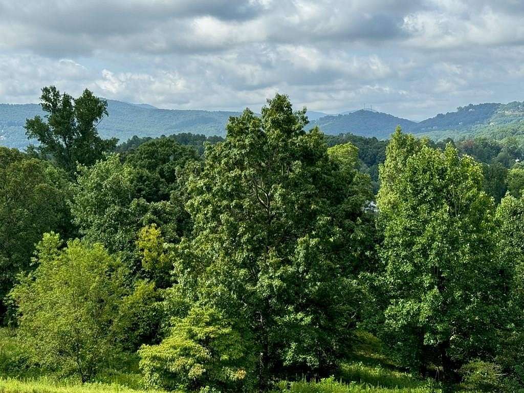 1.24 Acres of Residential Land for Sale in Hayesville, North Carolina