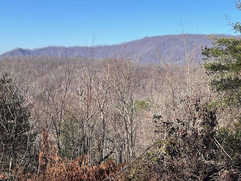 1 Acre of Land for Sale in Hayesville, North Carolina