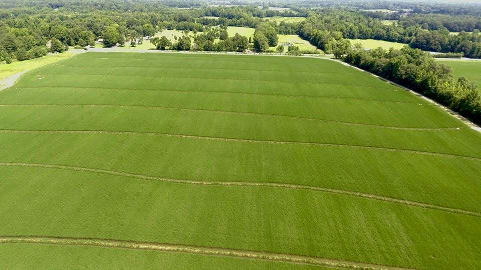 350 Acres of Recreational Land & Farm for Sale in Jonesboro, Arkansas