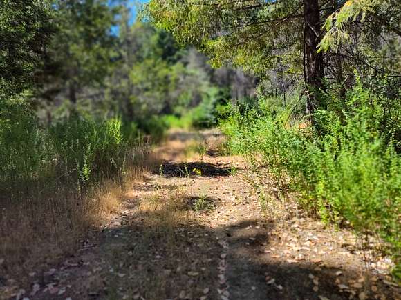 One of the views of the road, in good condition.