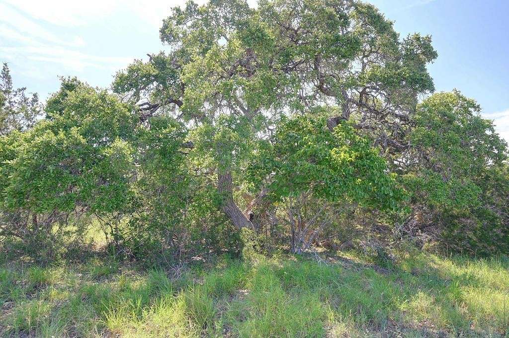 1 Acre of Residential Land for Sale in Blanco, Texas