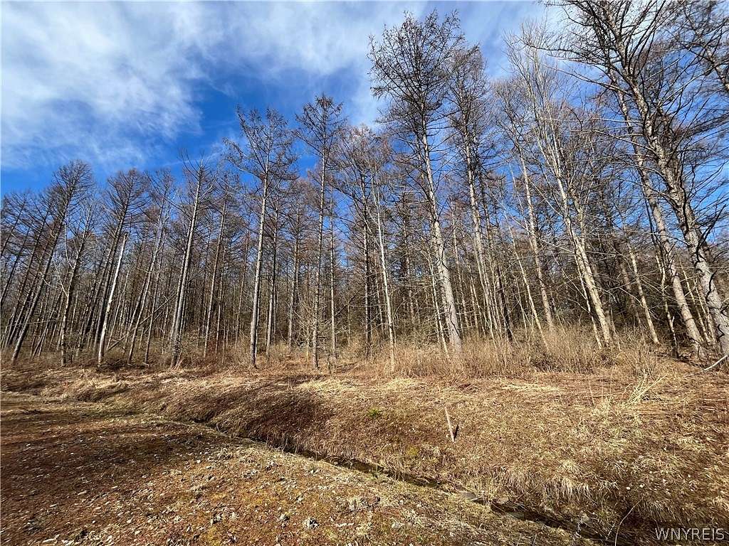 6.94 Acres of Residential Land with Home for Sale in Ellicottville, New York