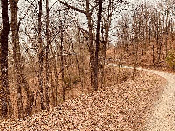 10 Acres of Residential Land for Sale in Jasper, Georgia