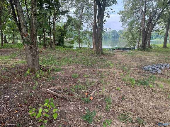 Land for Sale in Cedar Bluff, Alabama