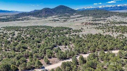 35.2 Acres of Recreational Land for Sale in Westcliffe, Colorado