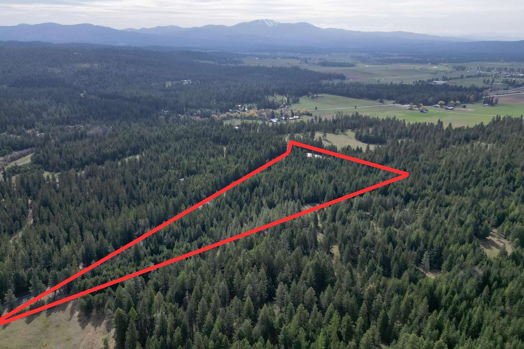 14 Acres of Land for Sale in Newport, Washington