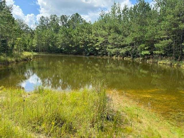 12 Acres of Recreational Land for Sale in Tylertown, Mississippi