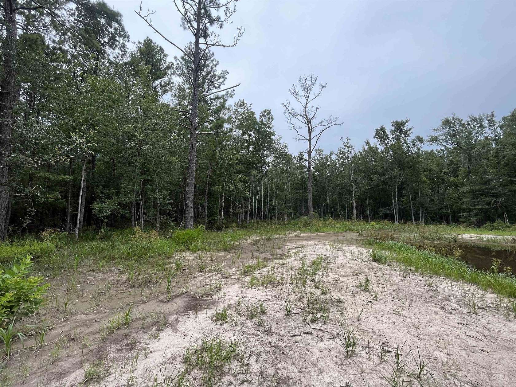 15.86 Acres of Land for Sale in Buna, Texas - LandSearch