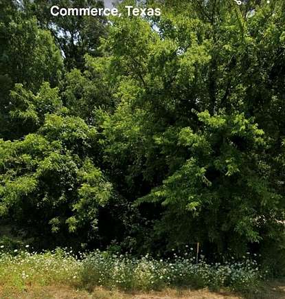 0.817 Acres of Land for Sale in Commerce, Texas