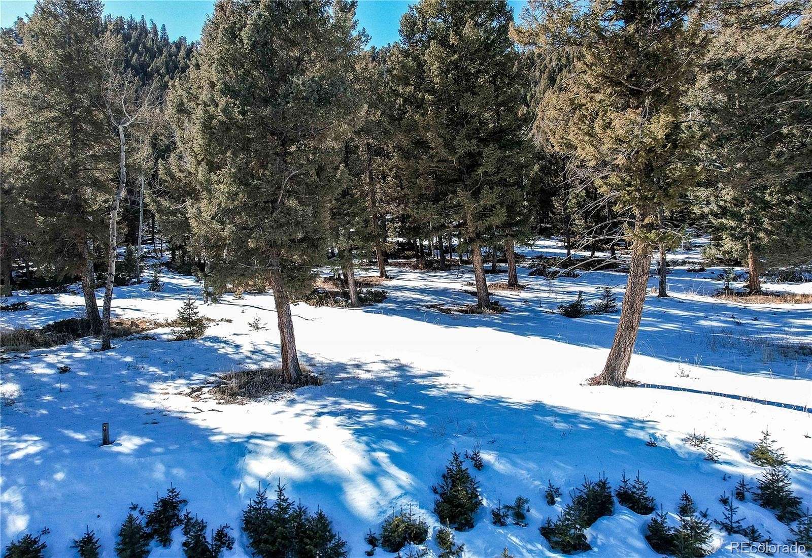 2.02 Acres of Residential Land for Sale in Pine Grove, Colorado