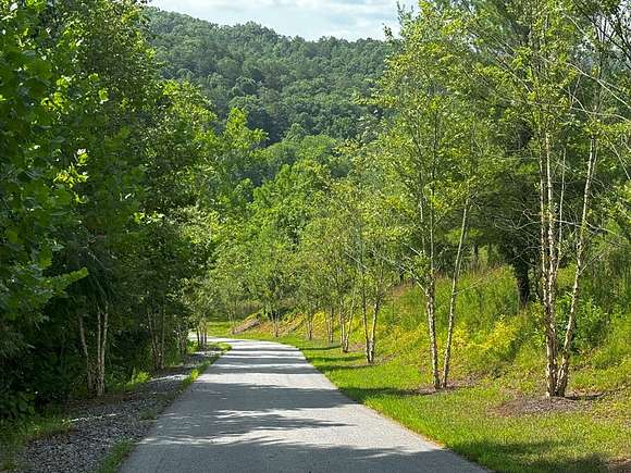 1.57 Acres of Land for Sale in Mineral Bluff, Georgia